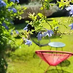 Vendégház Entre Les Pins Et Les Oliviers Bormes-les-Mimosas